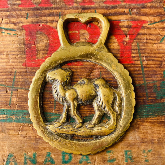 【vintage】horse brass ラクダ