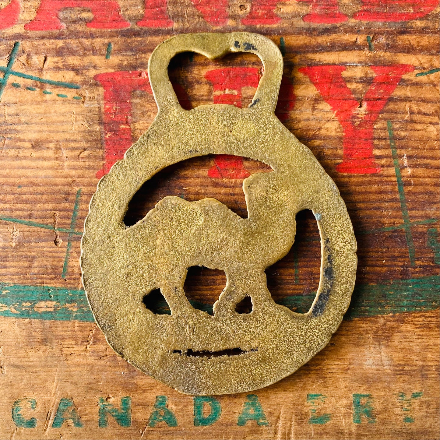 【vintage】horse brass ラクダ