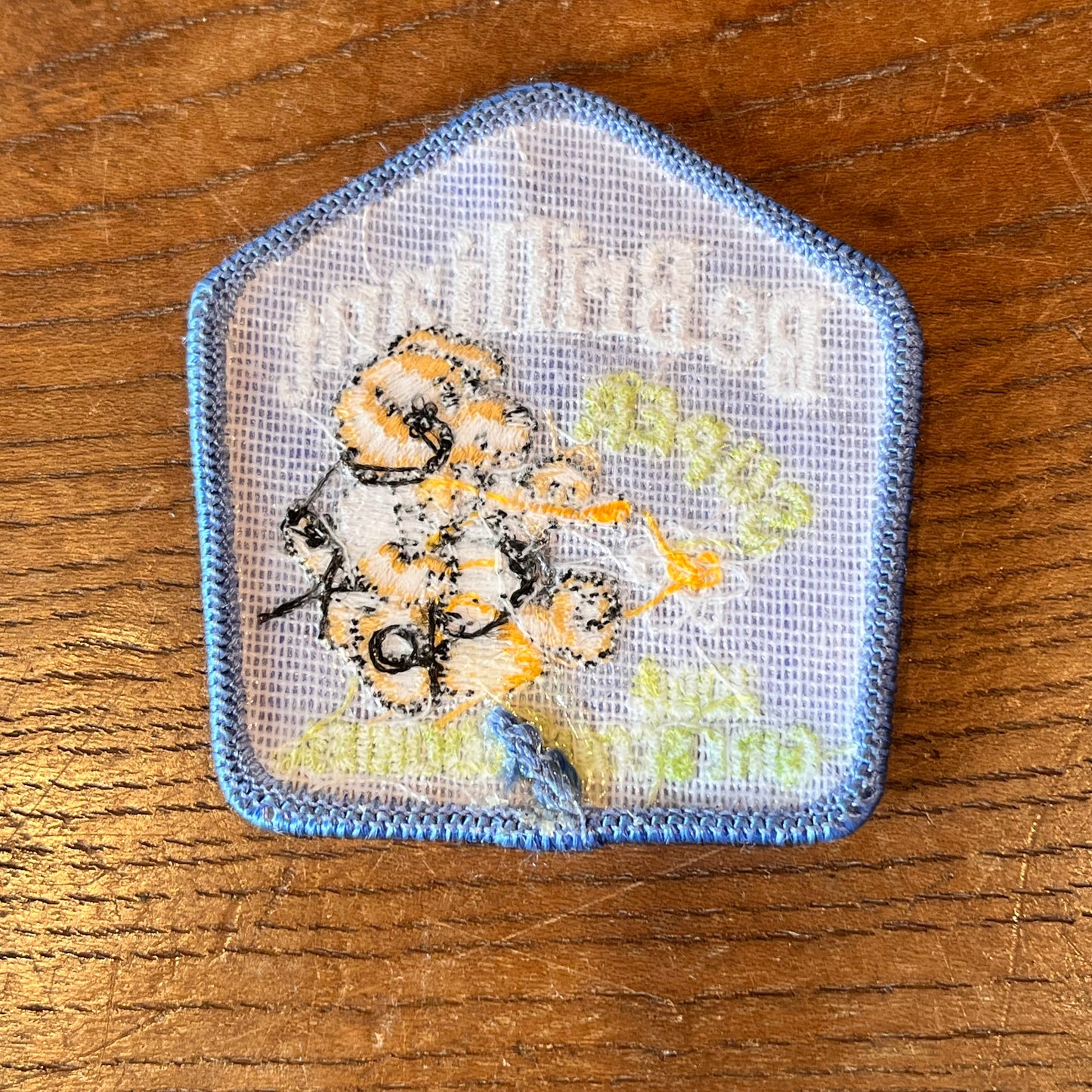 【USA vintage】ワッペン Be Brilliant ガールスカウト