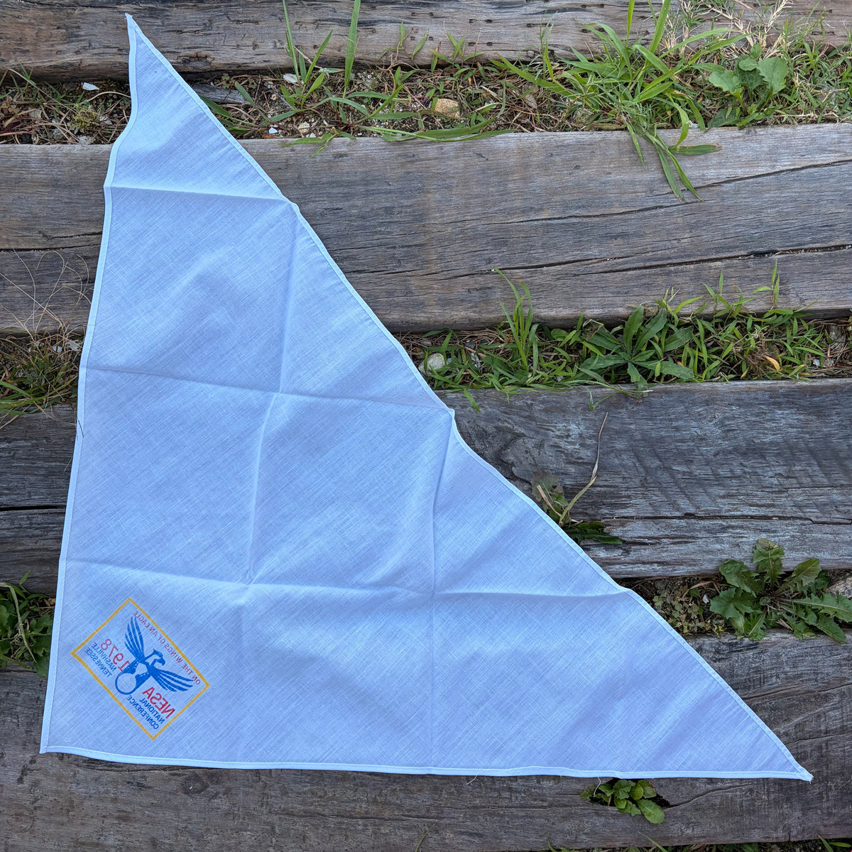 【1970s USA vintage】NESA 1978 NATIONAL CONFERENCE Neckerchief