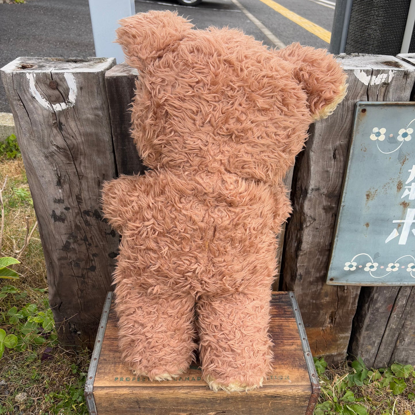 【1960s-1970s USA vintage】TOY MFG teddy bear