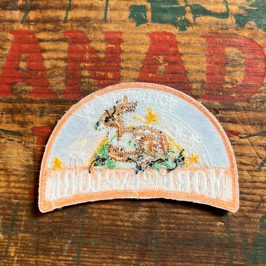 【USA vintage】ワッペン MORE TO EXPLORE ガールスカウト