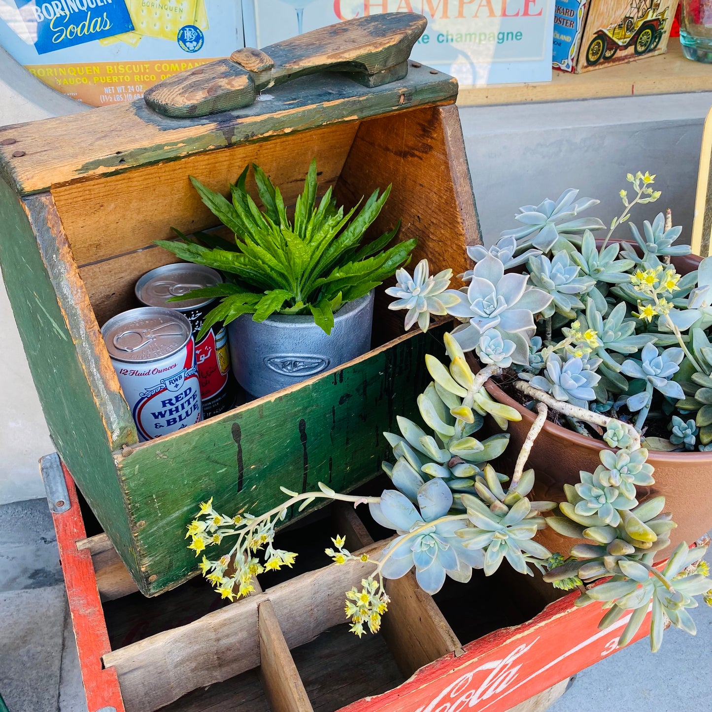 【USA vintage】shoe shine Green