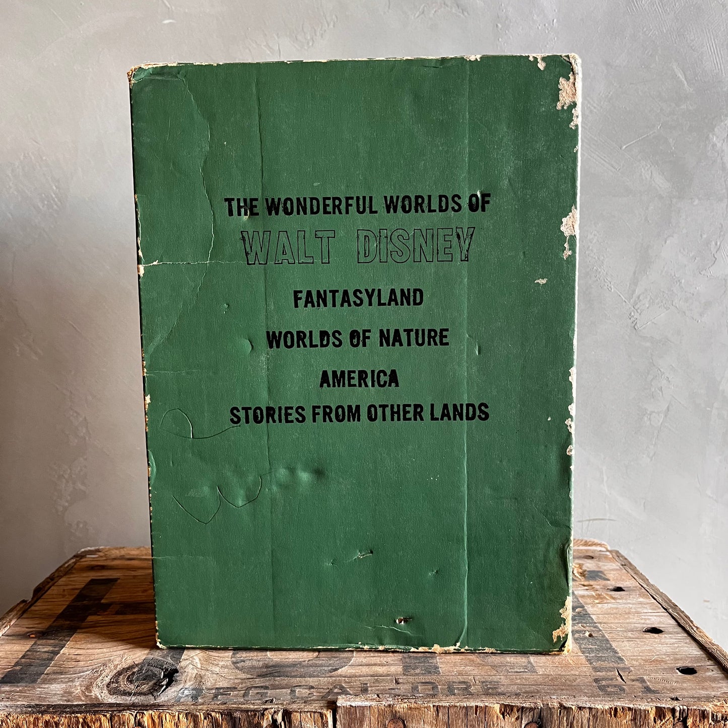 ▶︎▶︎SALE▶︎▶︎ 【1965 vintage】The Wonderful Worlds Of Walt Disney Book Box Set 4