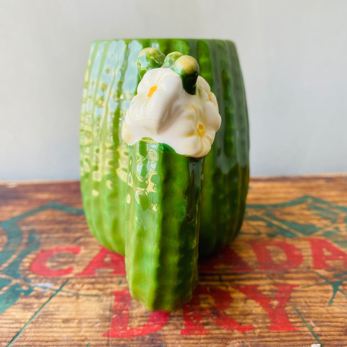 【USA】GAHAM cactus mug