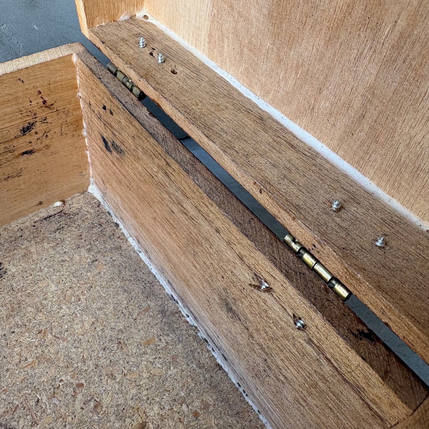 【USA vintage】KIWI SHOE SERVER