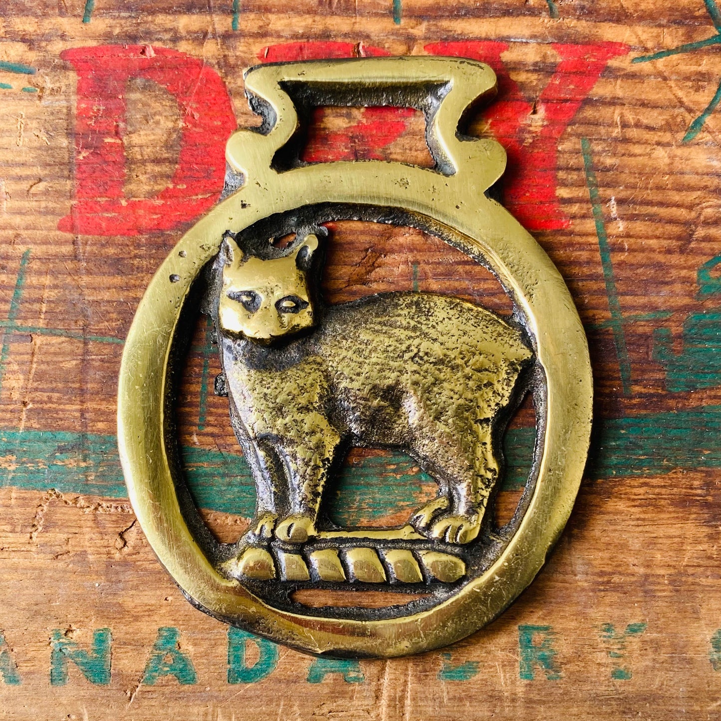 【vintage】 horse brass 猫