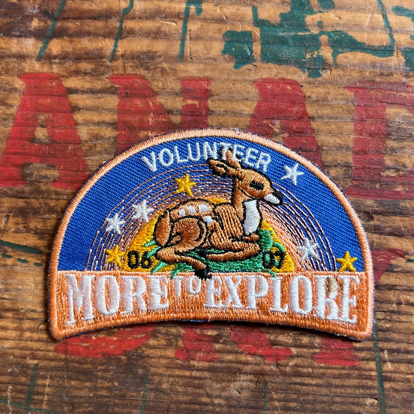 【USA vintage】ワッペン MORE TO EXPLORE ガールスカウト