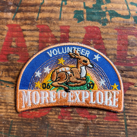 【USA vintage】ワッペン MORE TO EXPLORE ガールスカウト