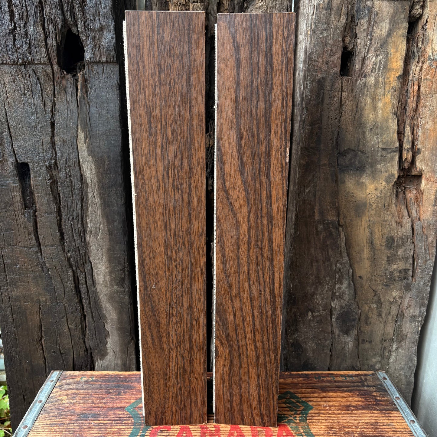 【1960s USA vintage】Argos SIXGUN speaker set