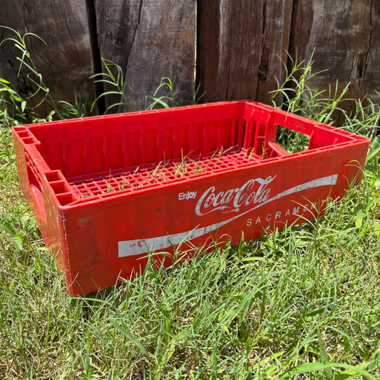 【1970s USA vintage】Coca-Cola bottle case