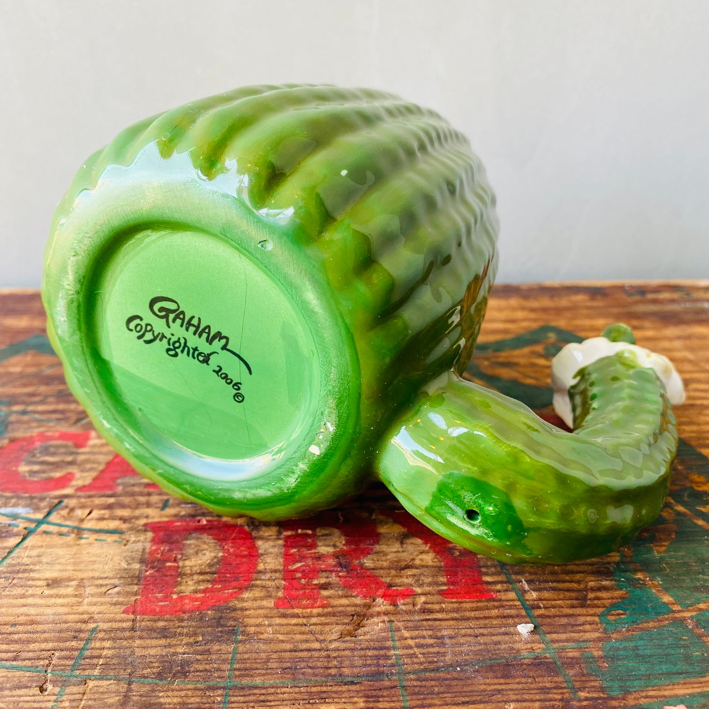 【USA】GAHAM cactus mug