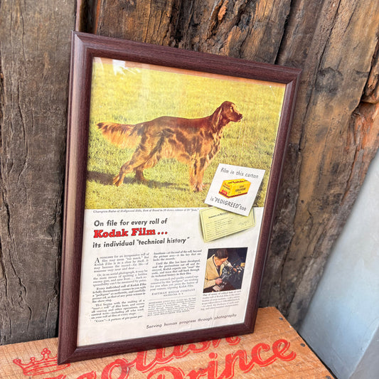 【USA Vintage】 PHOTOGRAPHY Magazine Framed Ads Kodak