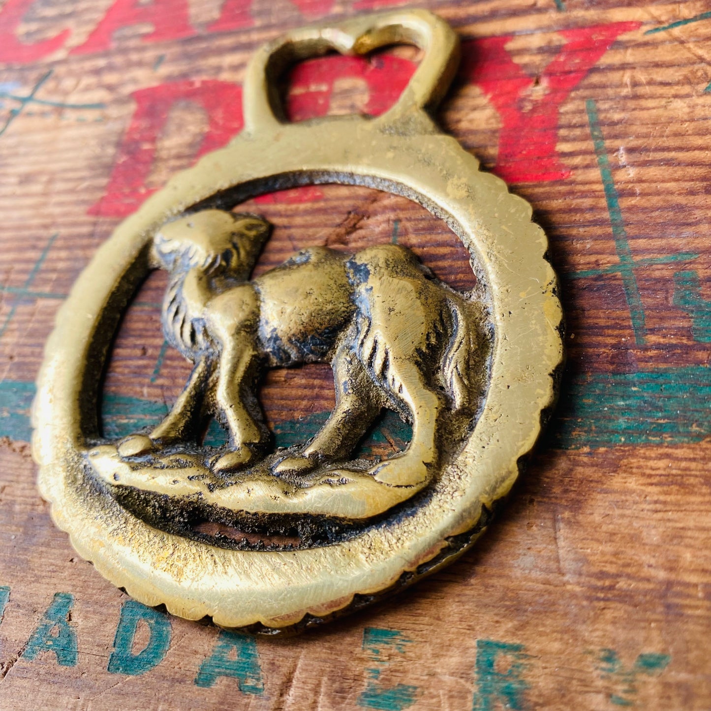 【vintage】horse brass ラクダ