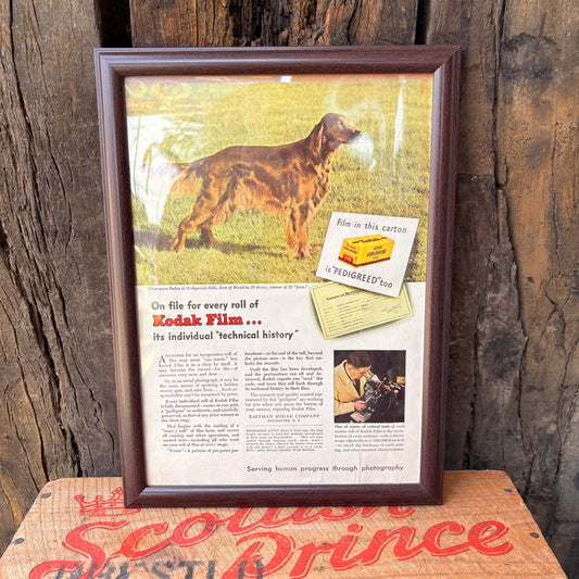 【USA Vintage】 PHOTOGRAPHY Magazine Framed Ads Kodak