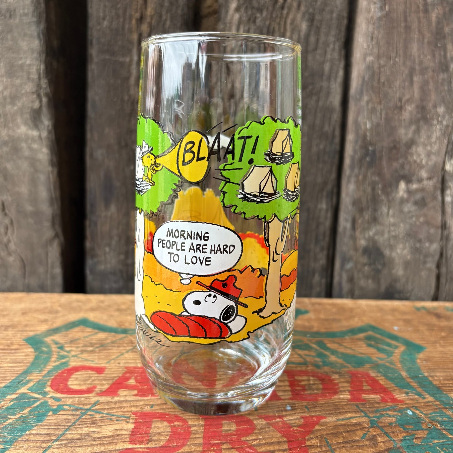 【1980s USA vintage】McDonald ×PEANUTS CAMP SNOOPY COLLRCTION glass 3