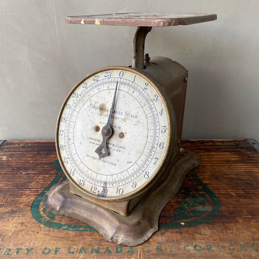 【1900s USA vintage】COLUMBIA FAMILY SCALE