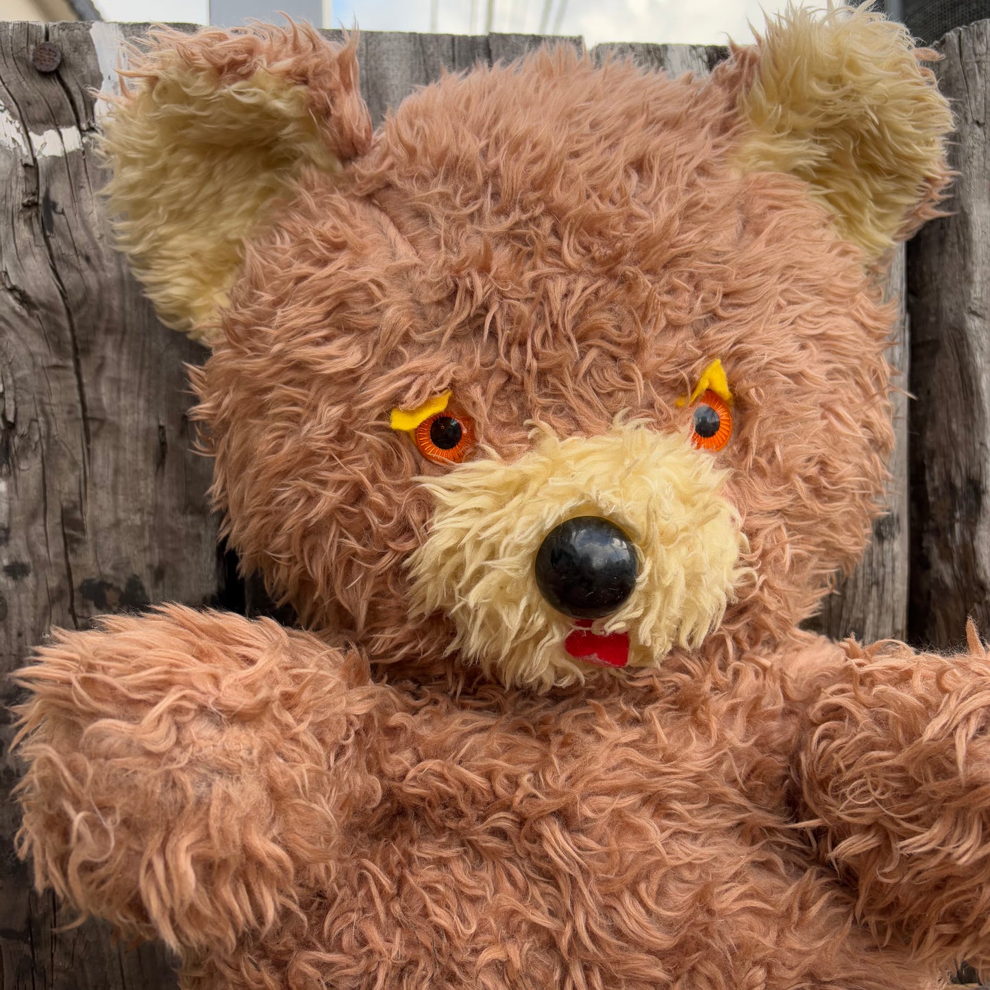 【1960s-1970s USA vintage】TOY MFG teddy bear