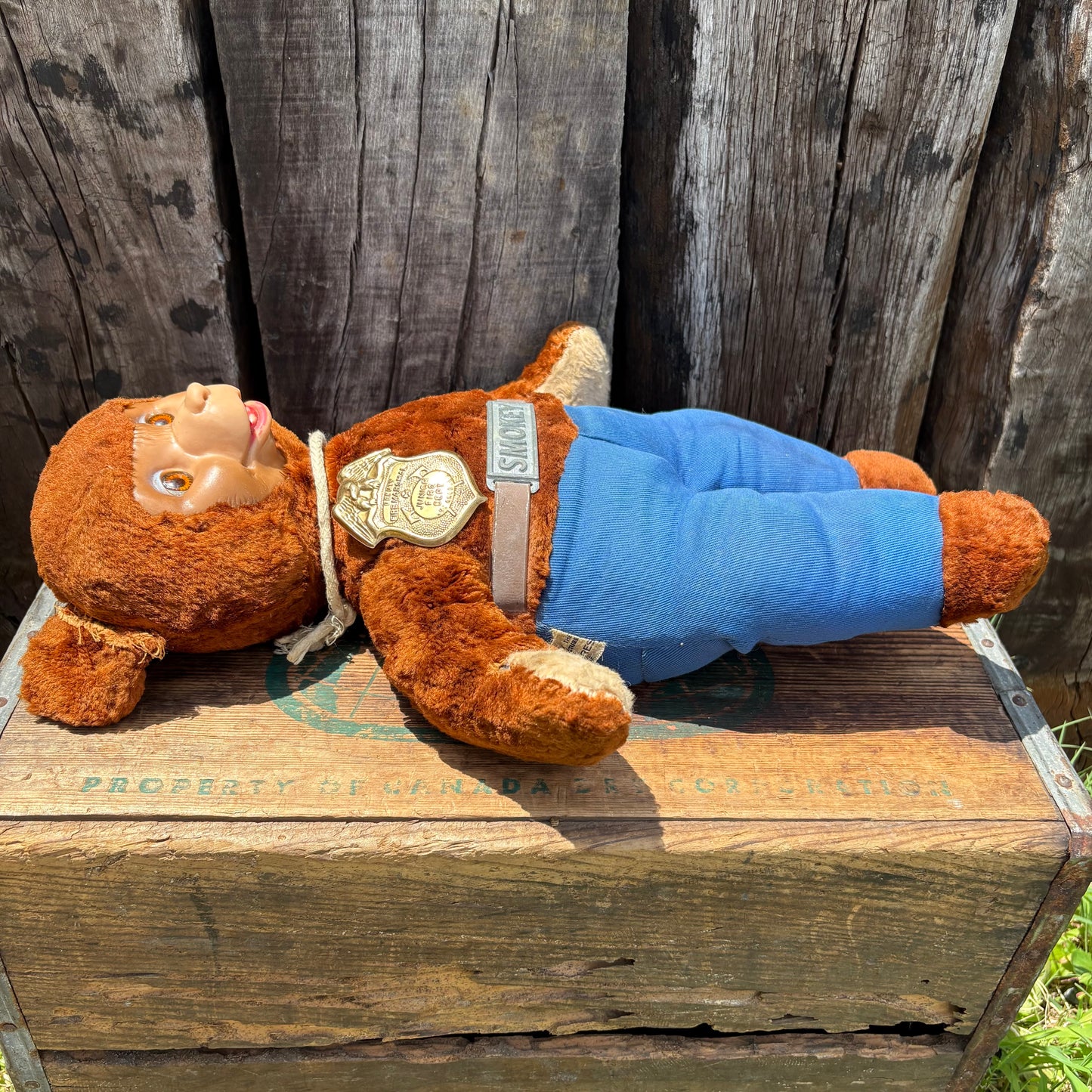 【1950s USA vintage】smoky bear rubber face doll