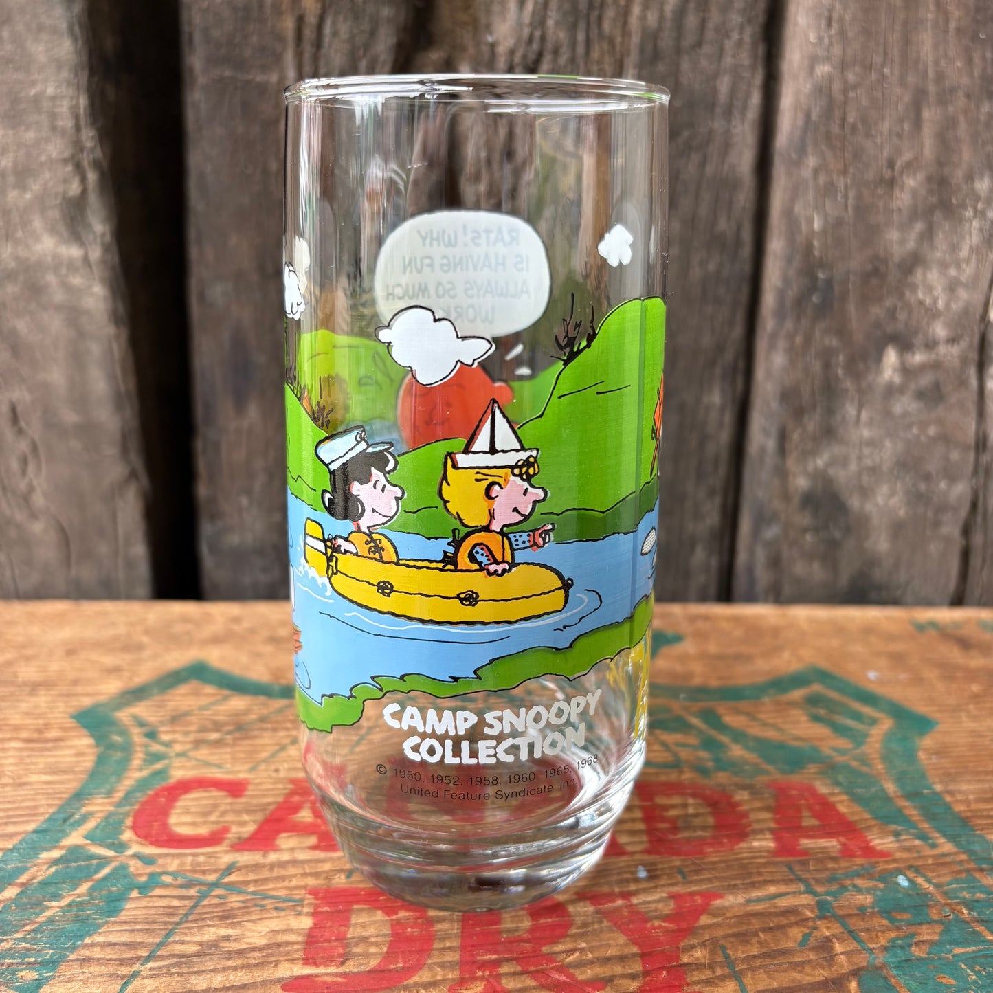 【1980s USA vintage】McDonald ×PEANUTS CAMP SNOOPY COLLRCTION glass 4
