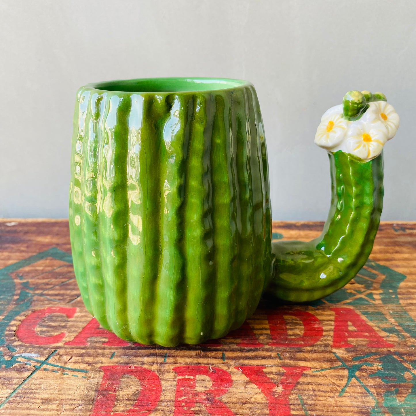 【USA】GAHAM cactus mug