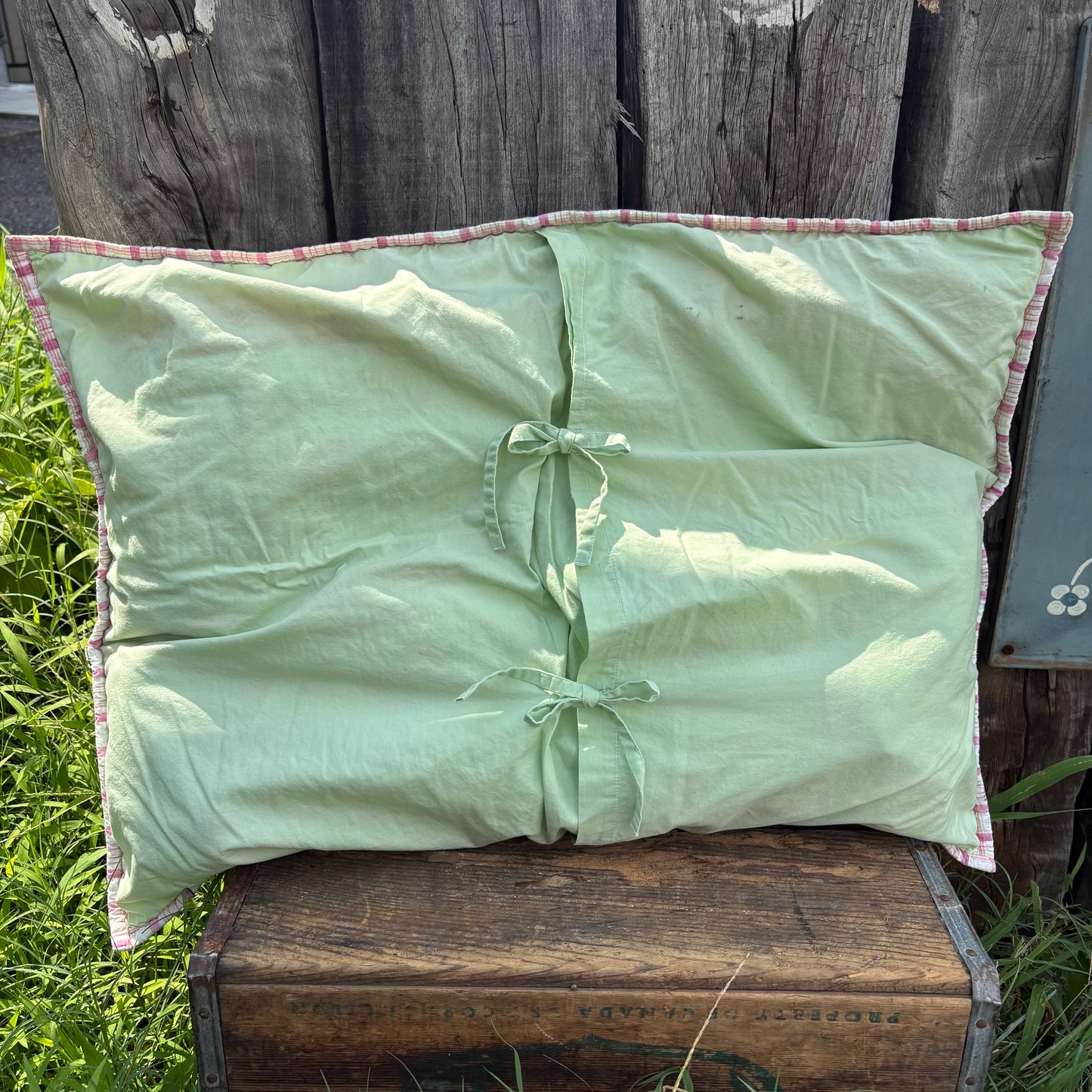 Pottery Barn Kids Pillow Sham
