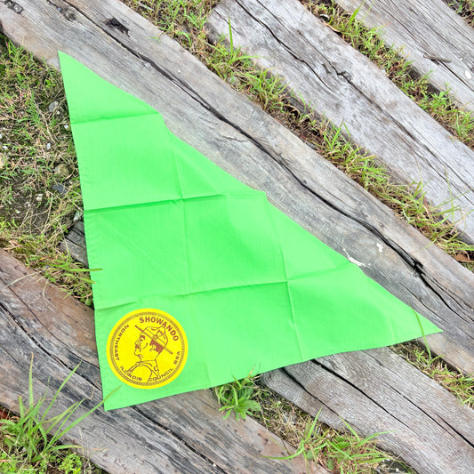 【1970s USA vintage】Showando Northeast Illinois Council BSA Bandana