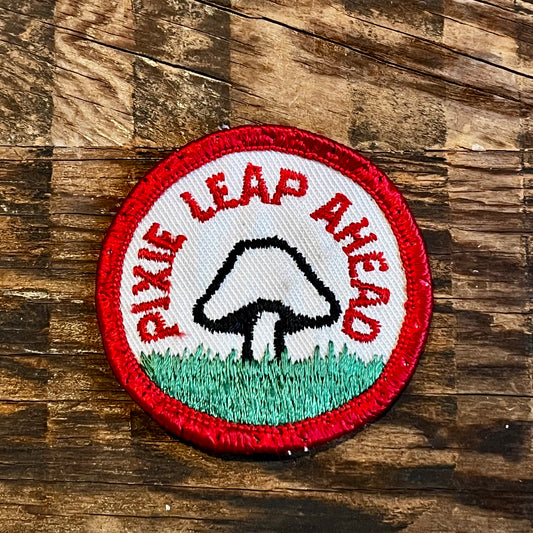 【USA vintage】ワッペン PIXIE LEAP AHEAD