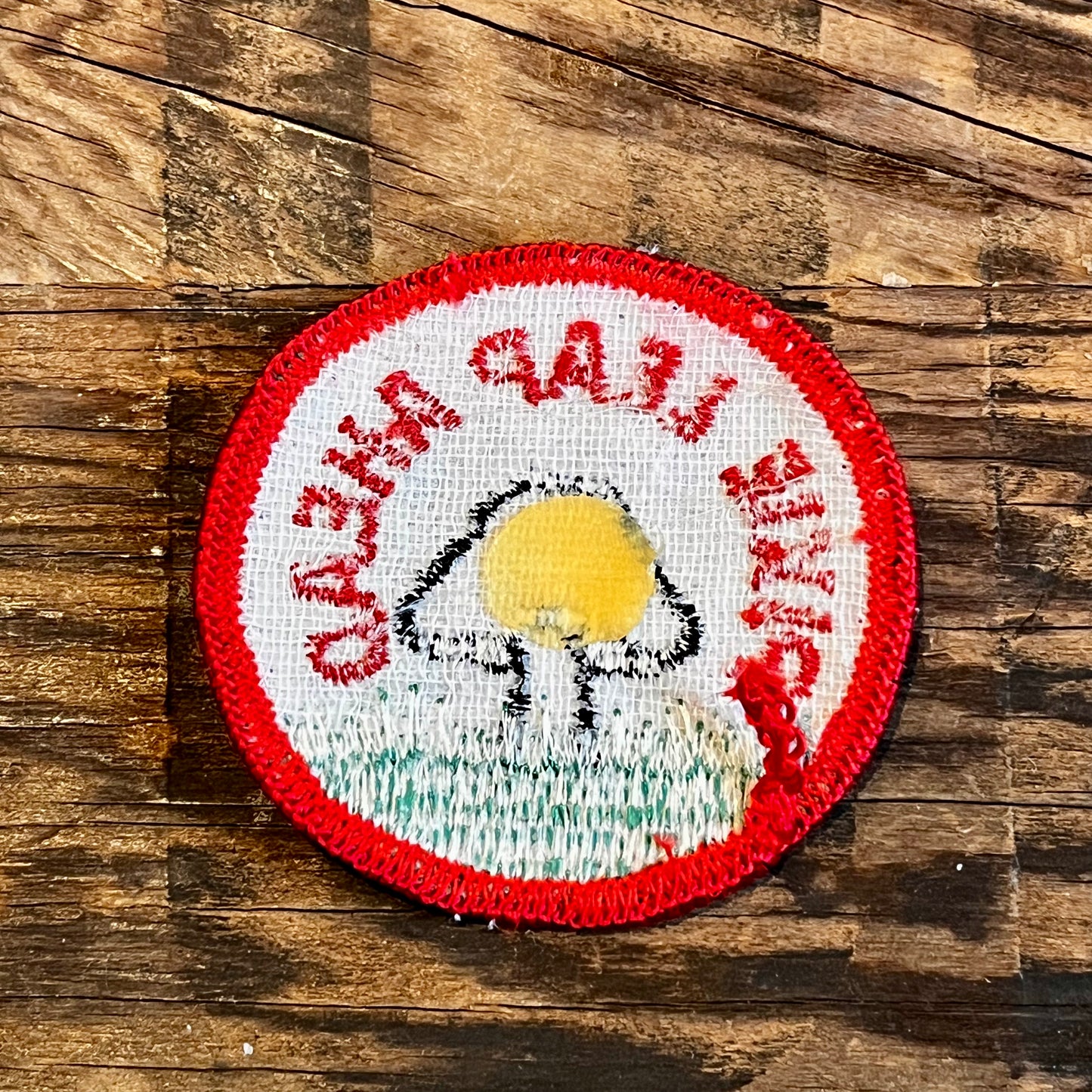 【USA vintage】ワッペン PIXIE LEAP AHEAD