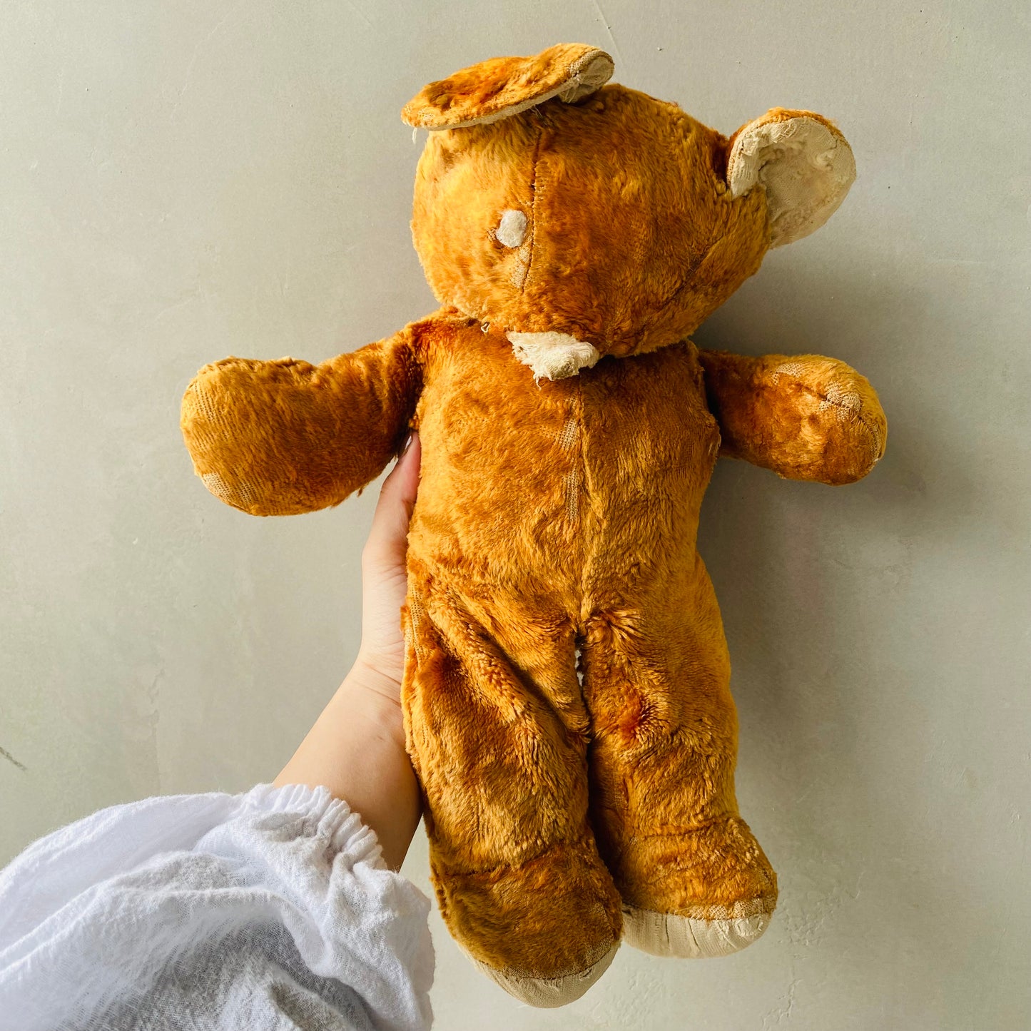 【USA vintage】teddy bear