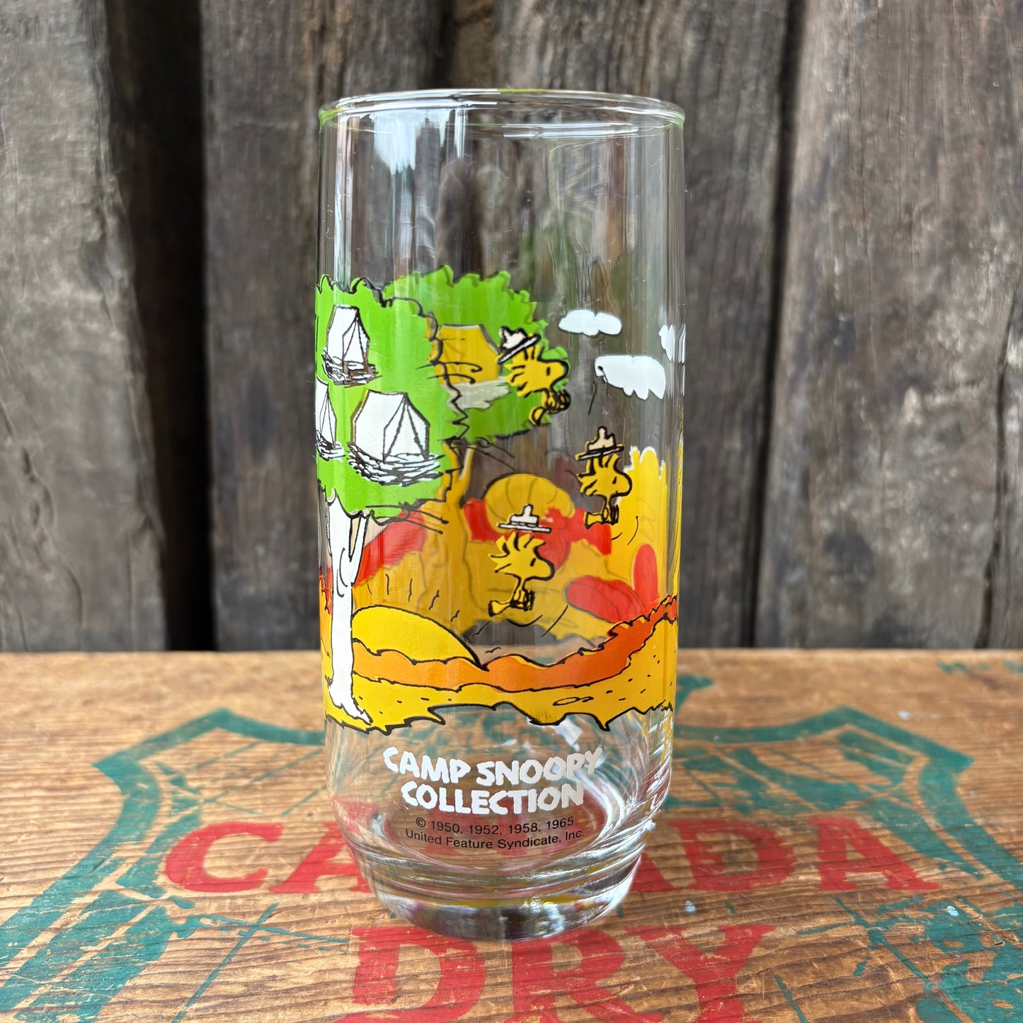 【1980s USA vintage】McDonald ×PEANUTS CAMP SNOOPY COLLRCTION glass 3