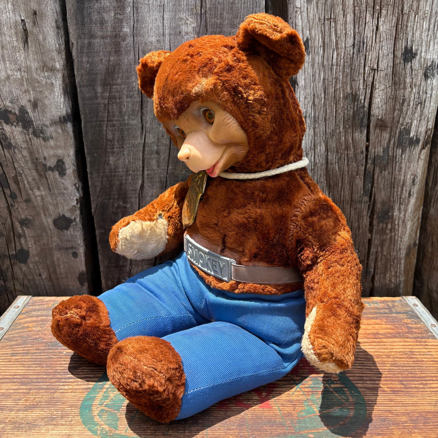 【1950s USA vintage】smoky bear rubber face doll