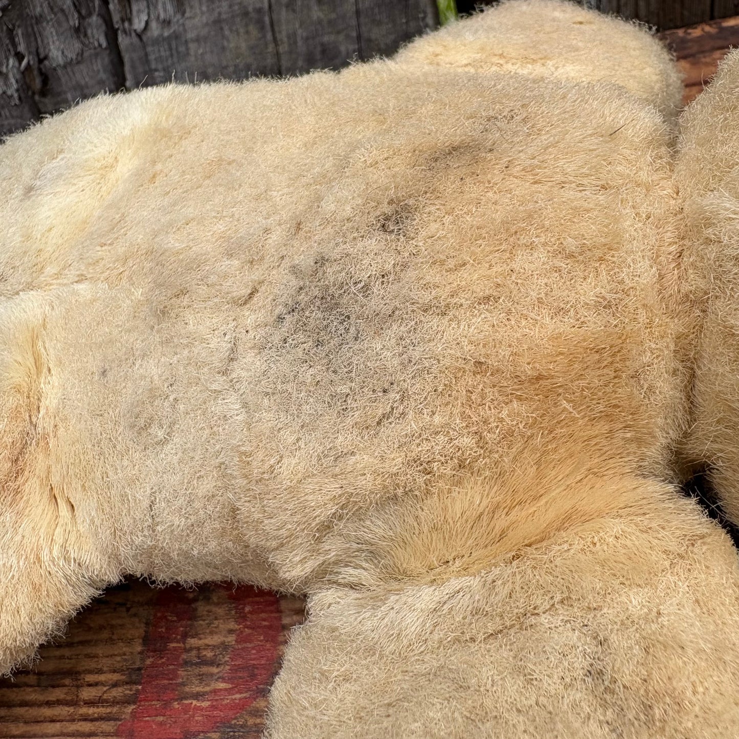 【USA vintage】 polar bear plush