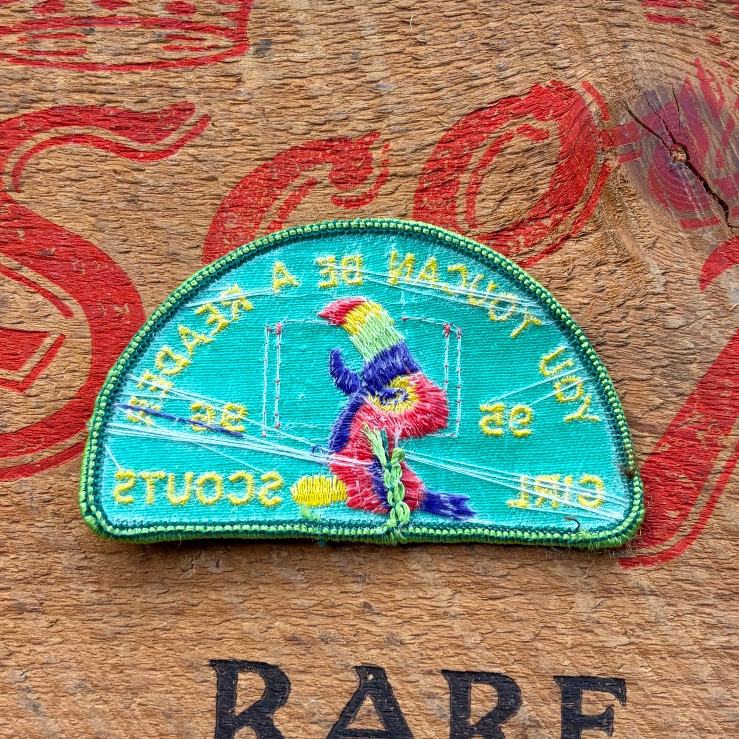 【USA vintage】Girl Scout YOU TOUCAN BE A READER Patch