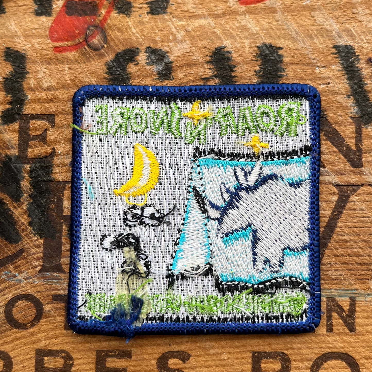【USA vintage】San Diego Zoo Roar ‘n’ Snore Patch