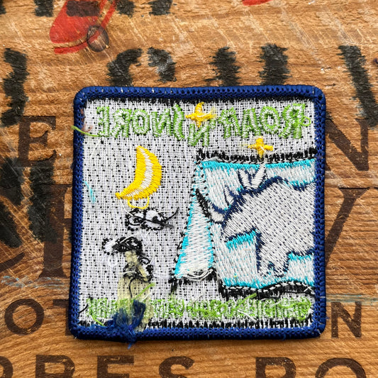 【USA vintage】San Diego Zoo Roar ‘n’ Snore Patch
