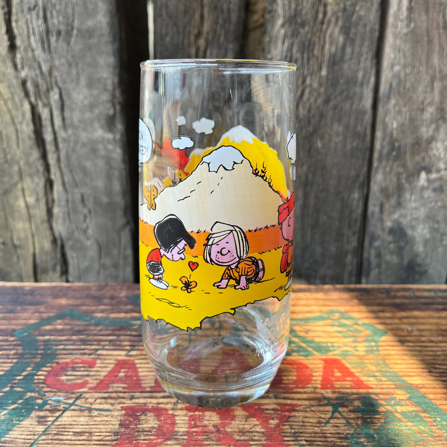 【USA vintage】McDonald's Camp Snoopy Collection Glass