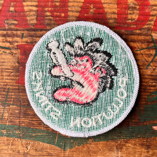 【USA vintage】ワッペン POLLUTION STINKS