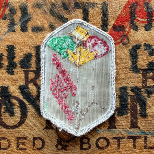 【USA vintage】Girl Scout SHARING OUR HARVEST Patch