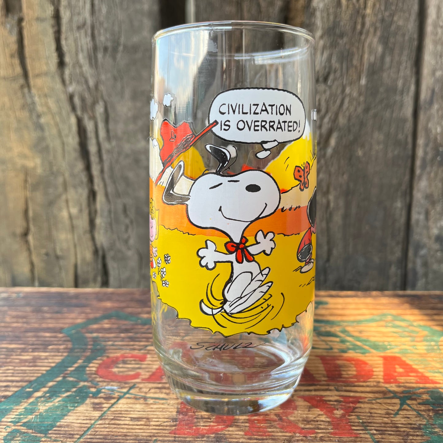 【USA vintage】McDonald's Camp Snoopy Collection Glass