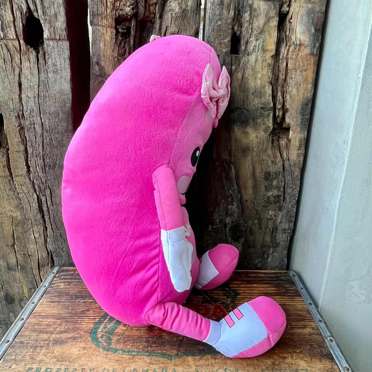 【USA vintage】Pinky Pickle Plush