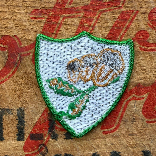 【USA vintage】Golden Acorn Patch