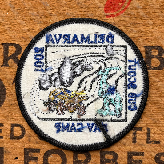 【USA vintage】Boy Scout DELMARVA DAY CAMP Patch