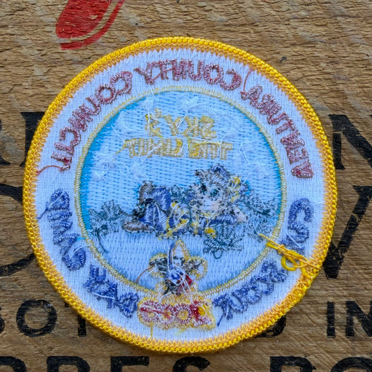 【USA vintage】Boy Scout Patch Cub Scout Day Camp