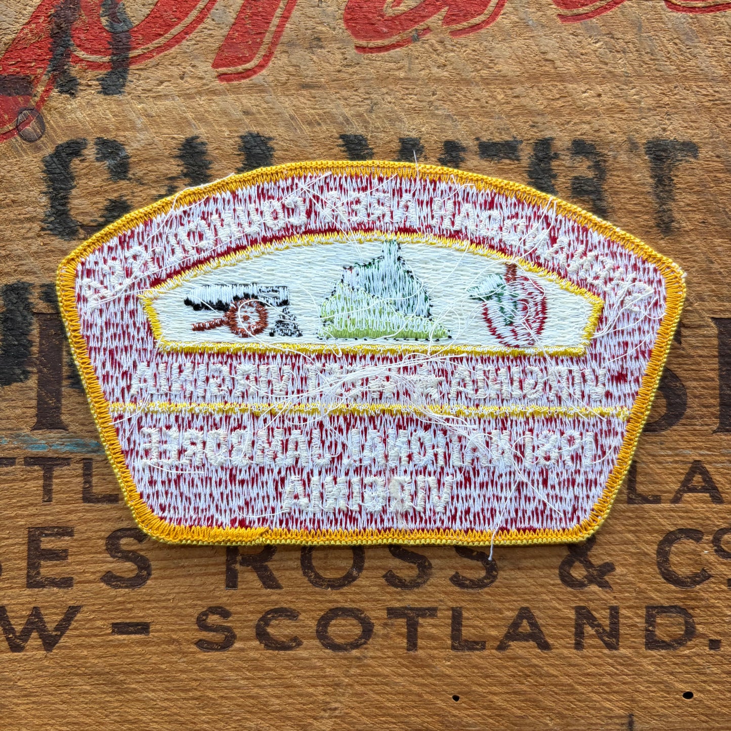 【USA vintage】Boy Scout Shenandoah Area Council Patch