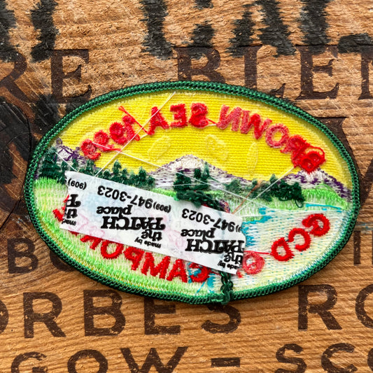 【USA vintage】Girl Scout Patch BROWN SEA 1999