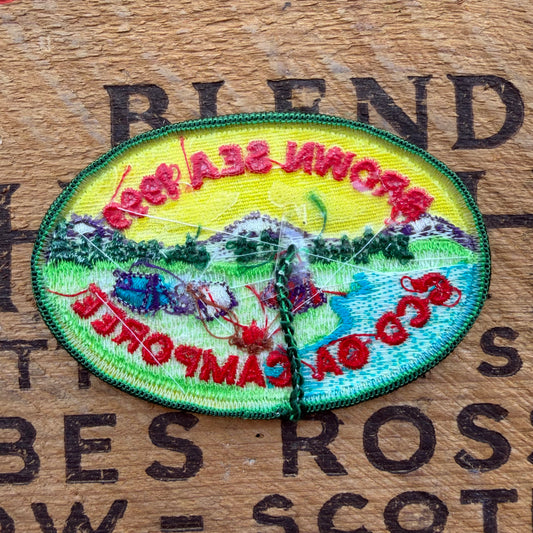 【USA vintage】Girl Scout Patch BROWN SEA 1999