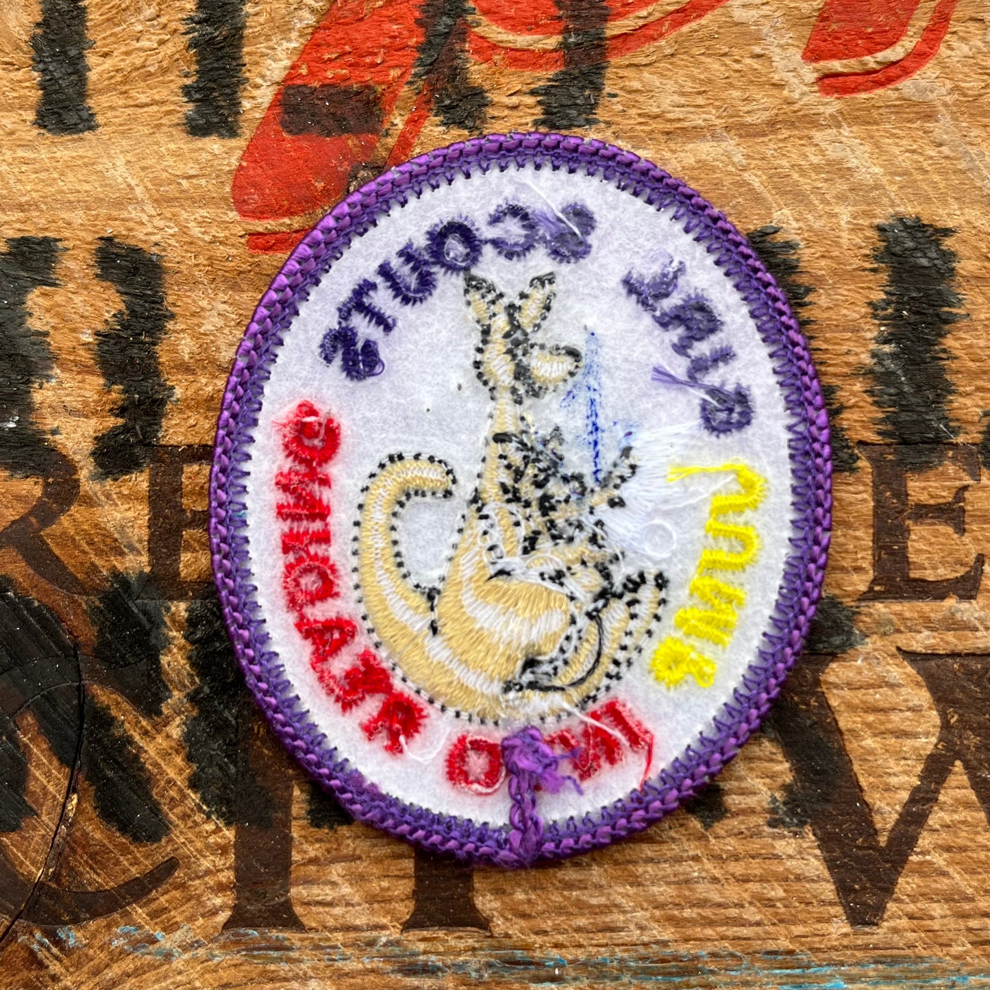 【USA vintage】Girl Scout Patch JUMP INTO READING