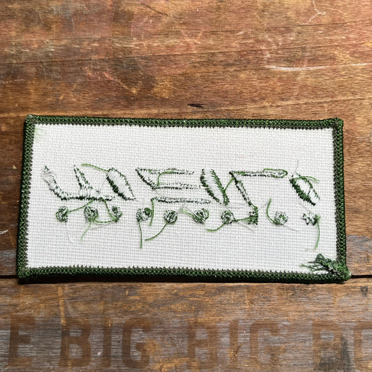 【USA vintage】ワッペン NEW wakeboaras