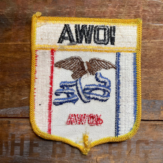【USA vintage】ワッペン IOWA